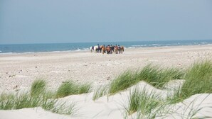 A beach with a group of people riding horses. - 3 bedroom amazing home in Blåvand (Blåvand)