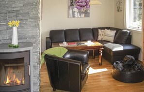 Una televisión, una chimenea, un reproductor de DVD