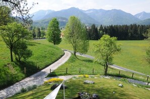 Image sans description, 3 de 14, bouton