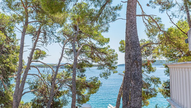 Une vue d’une zone côtière avec des arbres et une étendue d’eau.