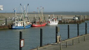 Ein Yachthafen mit mehreren vertäuten Fischerbooten.