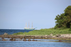 Unclassified image, 5 of 19, button