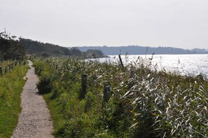 Unclassified image, 3 of 19, button