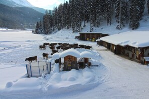 Nicht klassifiziertes Bild, 5 von 57, Schaltfläche