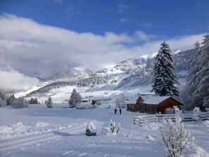 Immagine non classificata, 2 di 57, pulsante