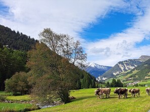 Miscellaneous - Apart STILLEBACH - VALRUNZHOF farm - directly at the SEILBAHNCENTER (Nauders)