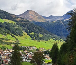 Immagine non classificata, 3 di 57, pulsante