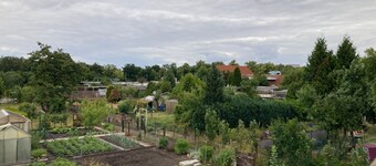 Apartment Braunschweiger Hof