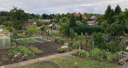 Ferienwohnung Braunschweiger Hof