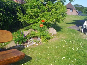 Botó d’imatge sense classificar, 5 de 11