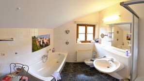 Shower, hair dryer, towels