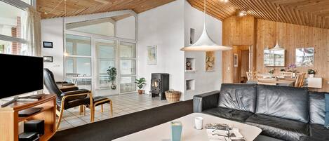 تلفزيون، مدفأة، ستيريو