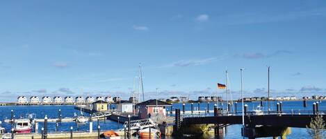 A marina with boats docked, a bridge, and buildings in the background.