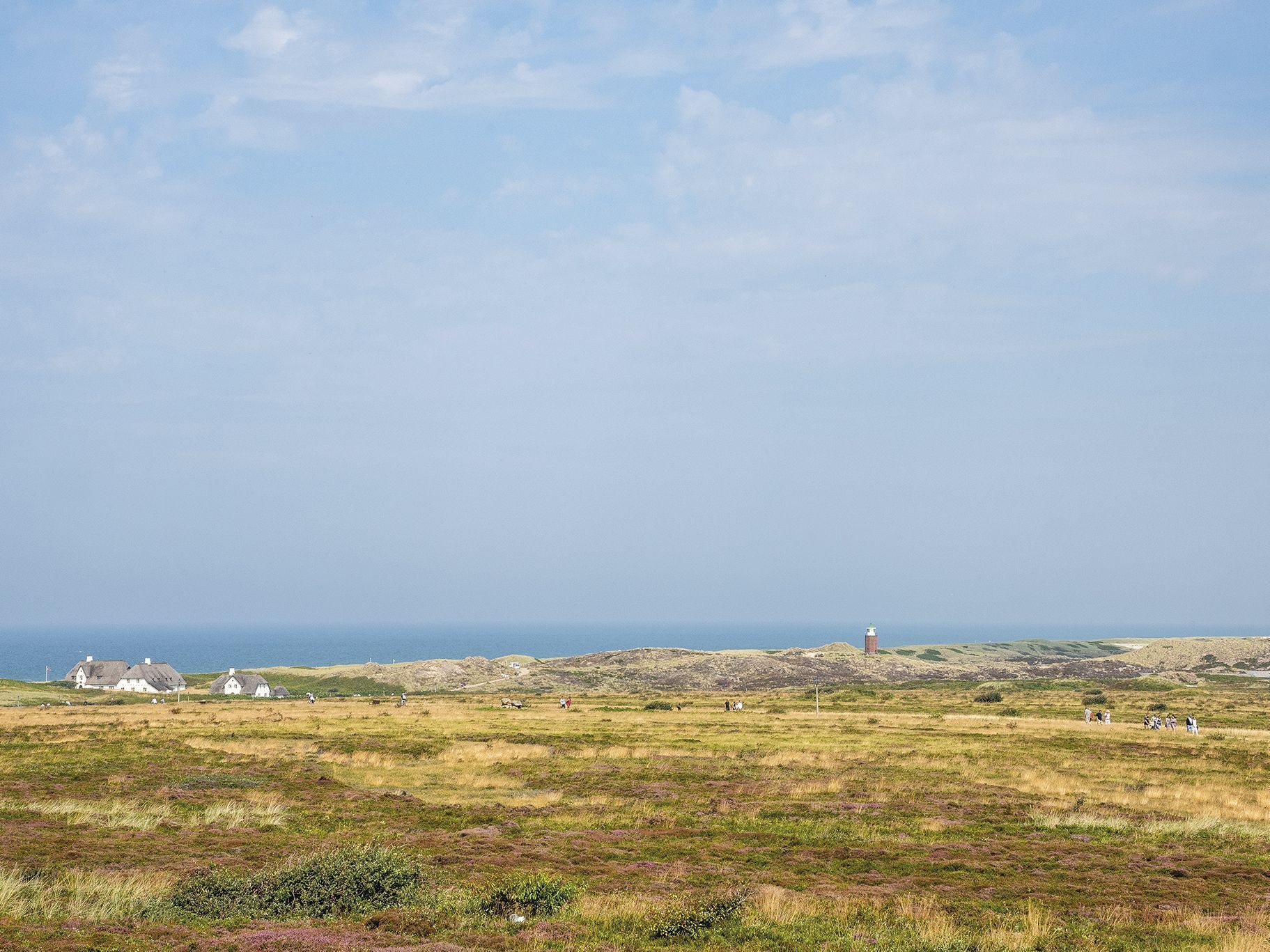 منوع