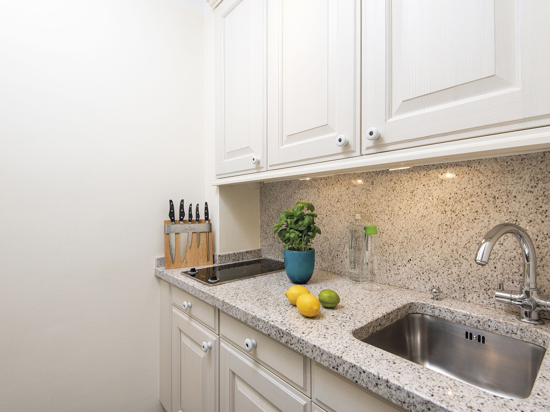 Fridge, dishwasher, coffee/tea maker, electric kettle