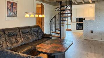 Télévision, cheminée, chaßne hi-fi