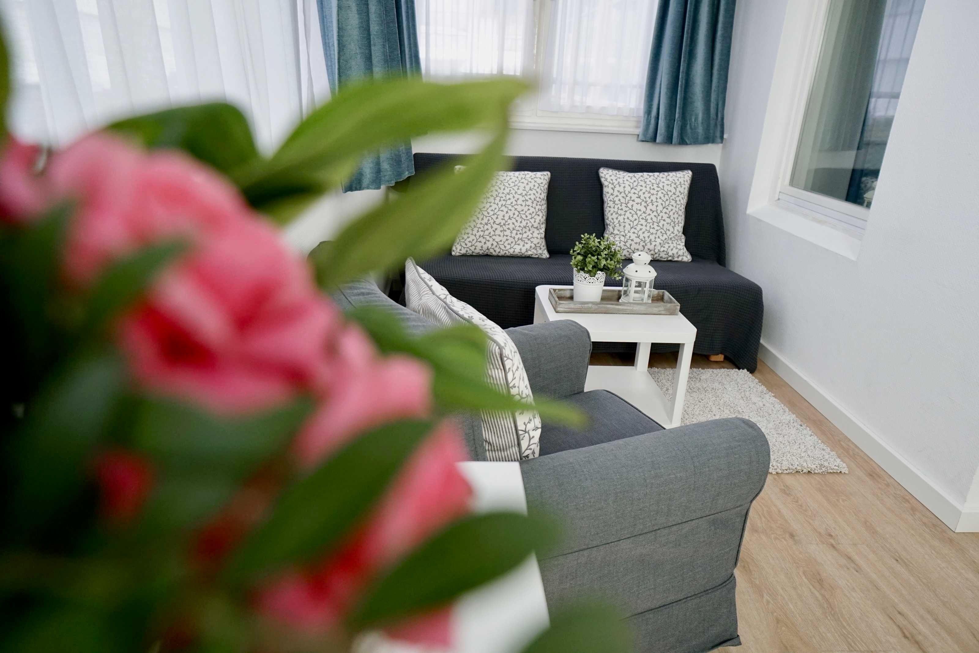 Ein modernes Wohnzimmer mit grauem Sofa, weißem Couchtisch und einer Zimmerpflanze.