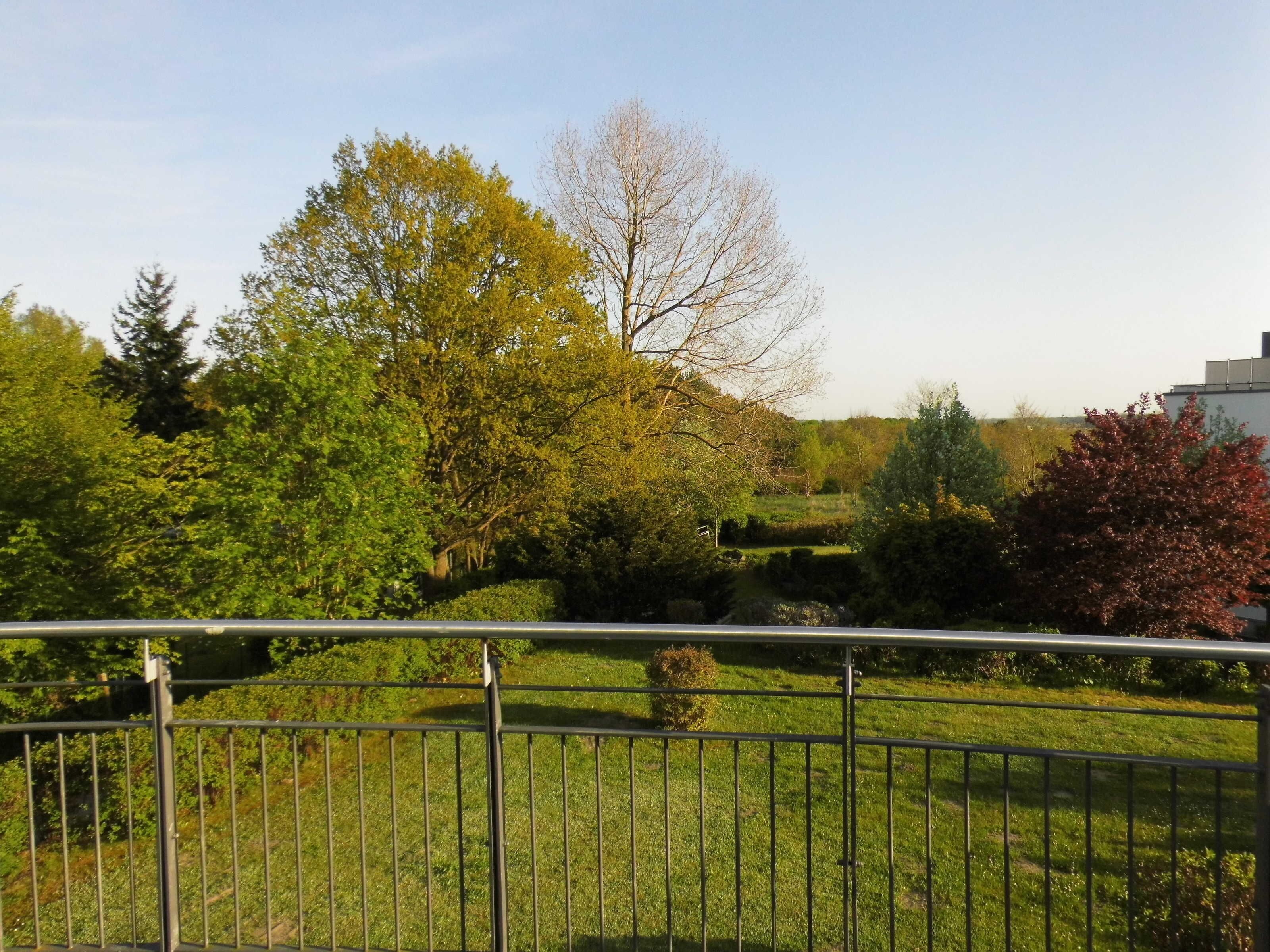 A fenced garden with various trees and shrubs.