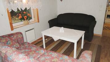 Tv, eldstad och dvd-spelare