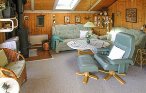 تلفزيون، مدفأة، مشغل دي في دي