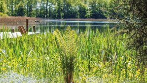 A natural landscape with a lake, dense vegetation, and a wooden dock. - 2 bedroom stunning home in Mragowo (Mragowo)