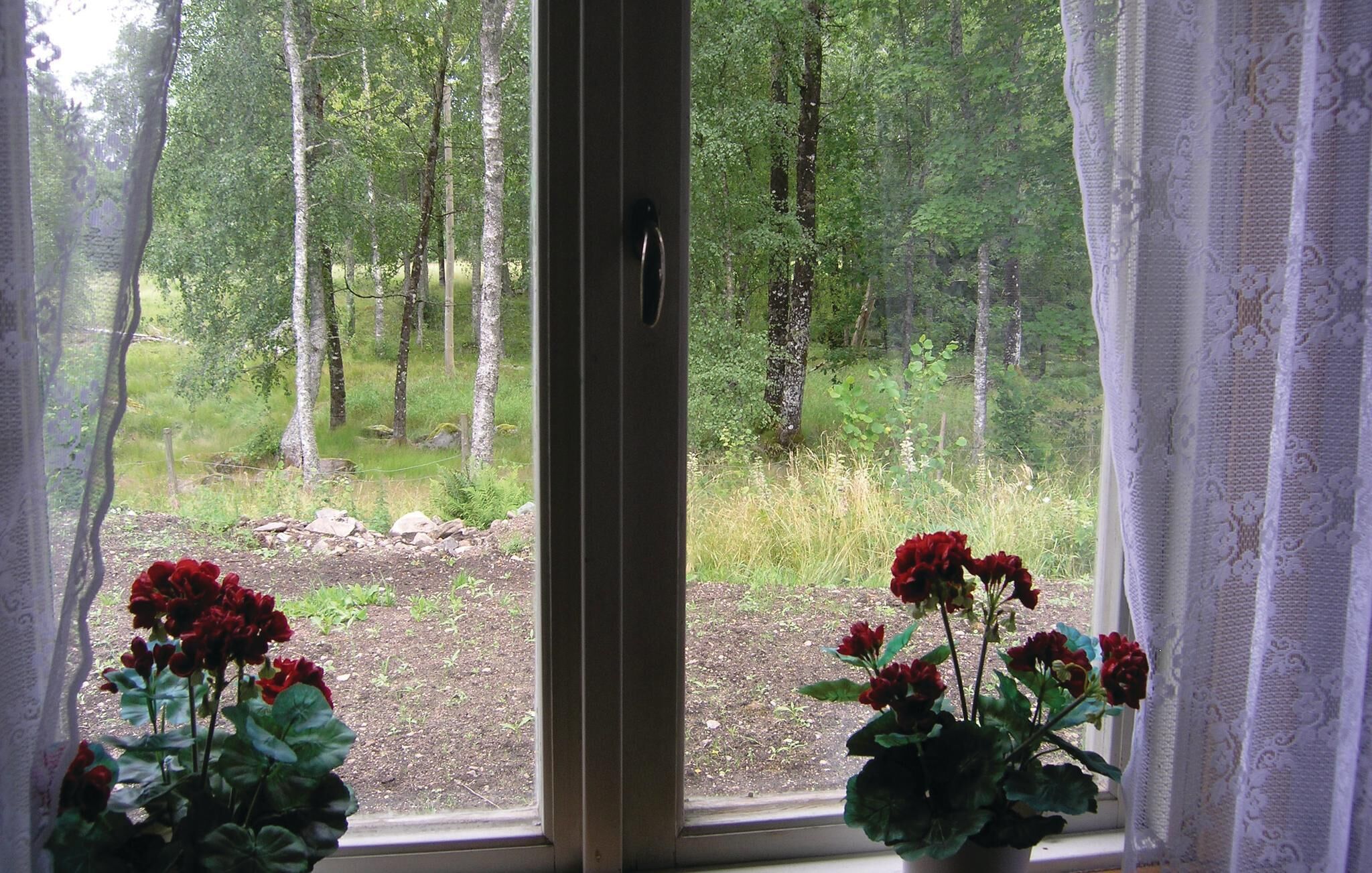 view-from-room