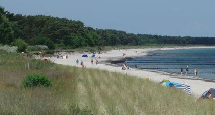 Fewo- for up to 5 people. - Appartmenthaus Glowe - Apartment 11 - 300m to the beach