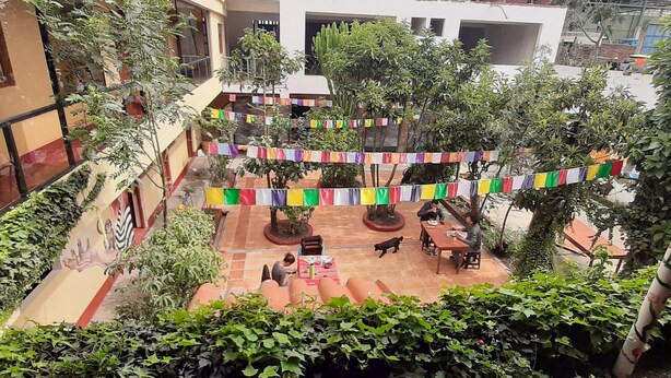 Courtyard view - Vacahouse 2 Eco-Hostel (Independencia)