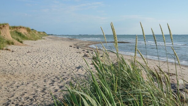 Una spiaggia sabbiosa con erba sullo sfondo e un mare calmo.