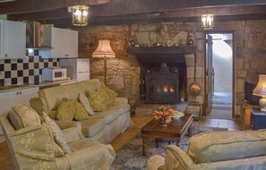 TV, fireplace
