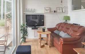 Tv, eldstad och dvd-spelare