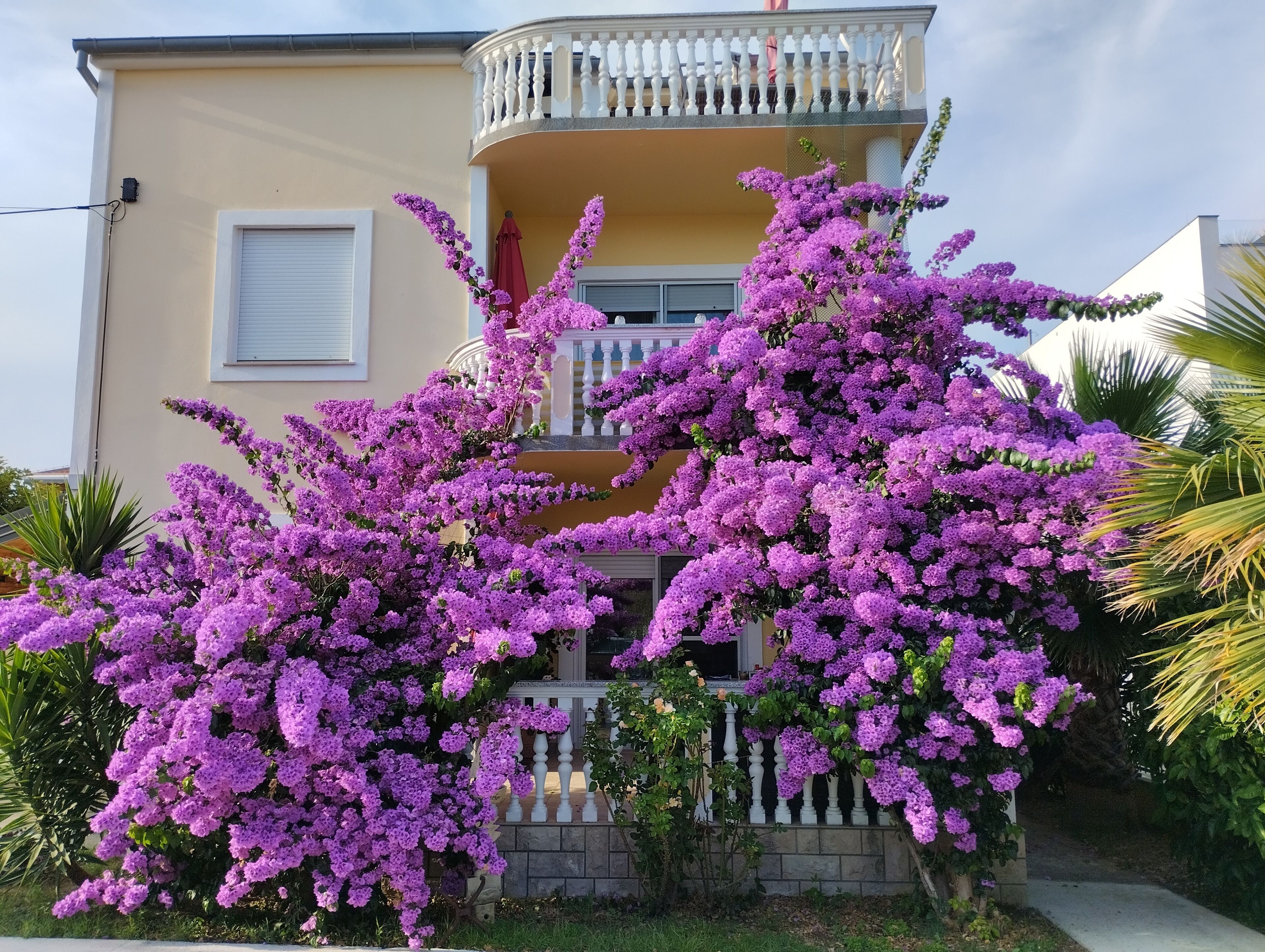 Ein zweistöckiges Gebäude mit Balkon und Garten mit violetten Blumen.