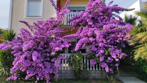 A two-story building with a balcony and a garden with purple flowers.