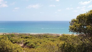 A coastal landscape with dense greenery and a view of the sea.