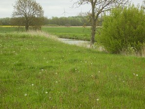 Niet-geclassificeerde afbeelding, 2 van 15, knop