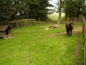 Nicht klassifiziertes Bild, 5 von 15, Schaltfläche