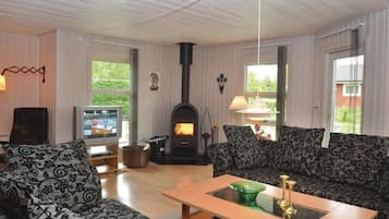 Tv, pejs, dvd-afspiller
