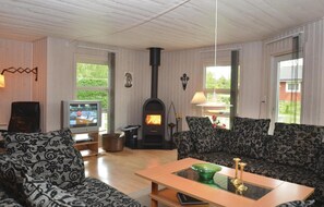 TV, fireplace, DVD player
