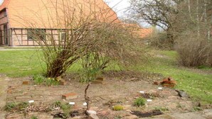 Een tuin met een kleine boom, stenen paden en een gebouw met een rood dak op de achtergrond.