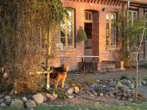 Unclassified image, 4 of 8, button