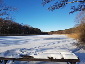 Unclassified image, 3 of 20, button