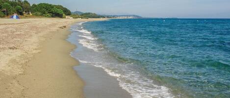 In Strandnähe, Angeln