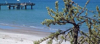 XL: 10-room vacation home with terrace (270m²) - H9 Holiday home XL at the campsite