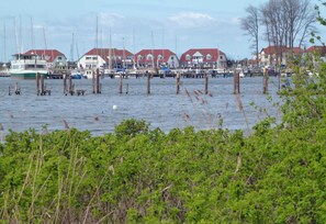 Unclassified image, 5 of 40, button