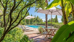 Ein Poolbereich mit Liegestühlen und Sonnenschirmen, umgeben von üppiger Vegetation und Bäumen.