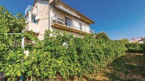 A two-story building with a balcony, surrounded by a vineyard.