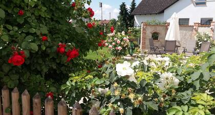 Ferienwohnung Dachspitz - Weberhof