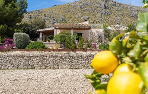 Property grounds - Cozy home in Puerto de Alcudia (Puerto de Alcudia)