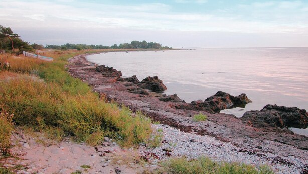 A coastal landscape with a rocky shoreline, a small boat, and a calm sea. - Beautiful home in Slite with kitchen (Slite)
