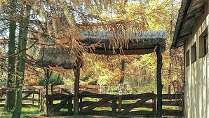 Un gazebo in legno rustico con tetto di paglia, circondato da alberi e un muro in pietra.